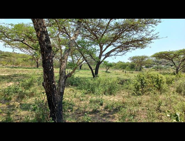 1HA SMALLHOLDING FOR SALE IN NELSPRUIT RURAL
